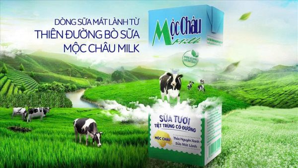 anh-3-san-pham-moc-chau-milk-duoc-binh-chon-la-hang-viet-nam-duoc-nguoi-tieu-dung-yeu-thich-16825667124711293423791